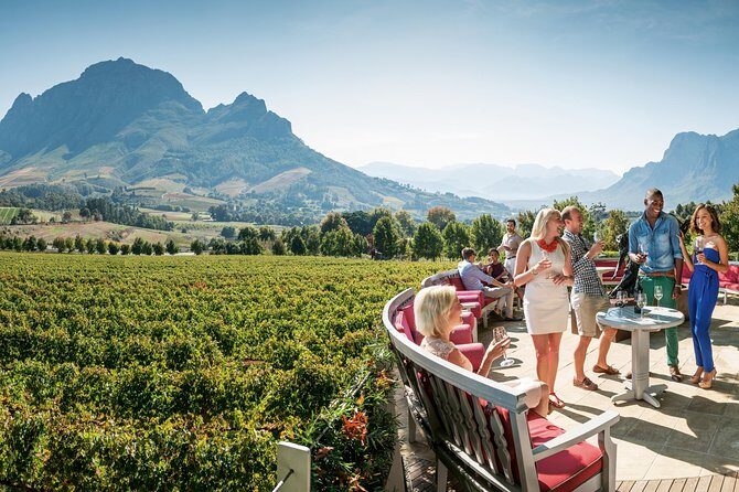 Stellenbosch, Paarl & Franschhoek Private Full Day Wine Tour - An In-Depth Look at the Experience