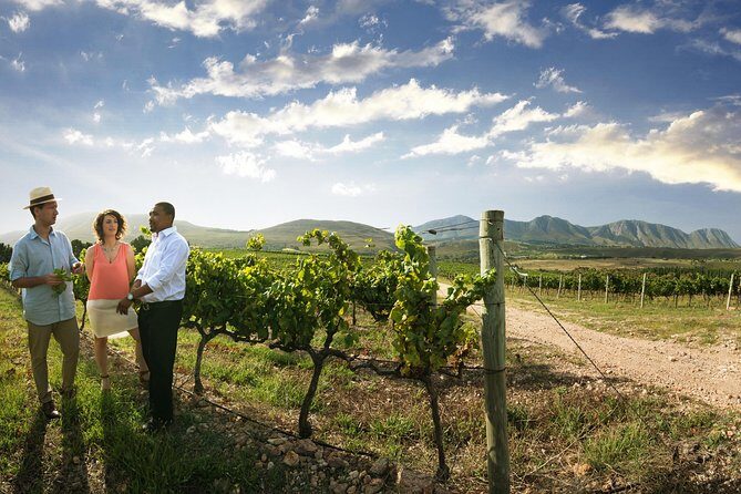 Stellenbosch, Paarl & Franschhoek Private Full Day Wine Tour - Practical Details and Final Tips