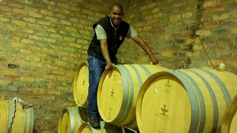 Stellenbosch: Private Wine Tour with a Winemaker. - Practical Details and Considerations