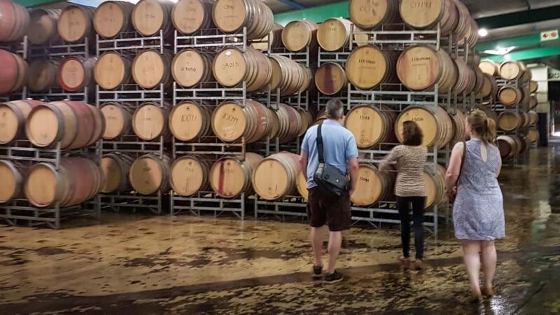 Stellenbosch: Private Wine Tour with a Winemaker. - Is This Tour Worth It?