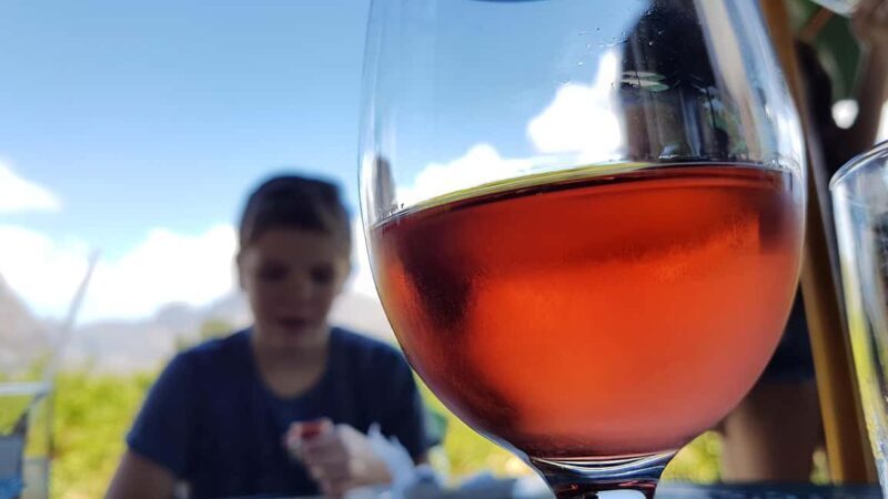Stellenbosch: Private Wine Tour with a Winemaker. - Final Thoughts