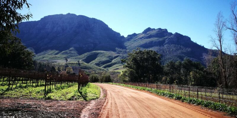Stellenbosch: Stellenbosch E-Bike & Wine Tour (Shared Tour) - Who Would Love This Tour?