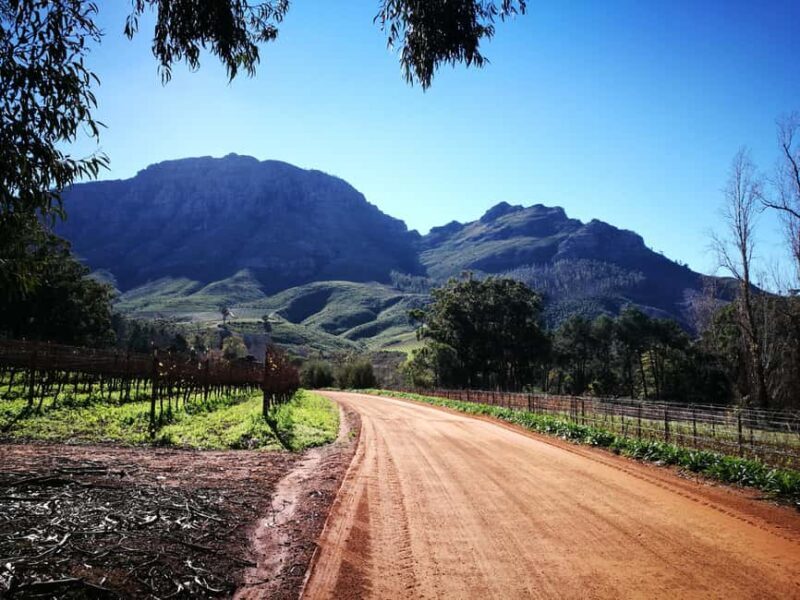 Stellenbosch: Stellenbosch Private E-Bike & Wine Tour - Key Points
