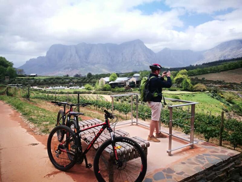 Stellenbosch: Stellenbosch Private E-Bike & Wine Tour - Who Should Consider This Tour?