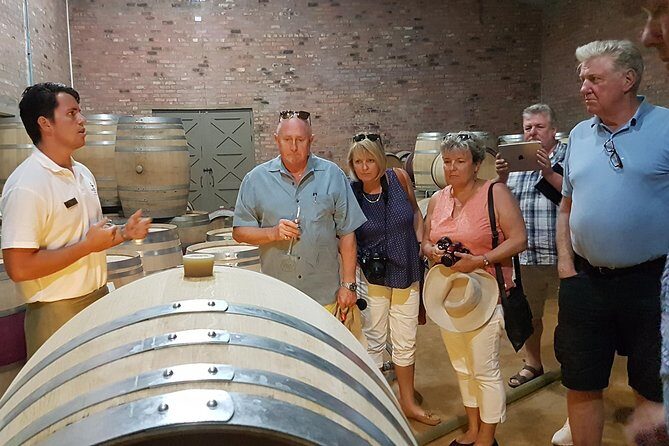 Stellenbosch Valley. Private wine tour with winemaker in Swedish or English. - Key Points