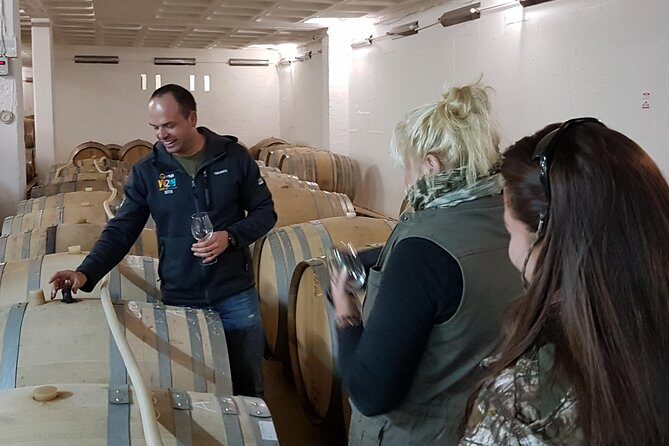 Stellenbosch Valley. Private wine tour with winemaker in Swedish or English. - Final Thoughts