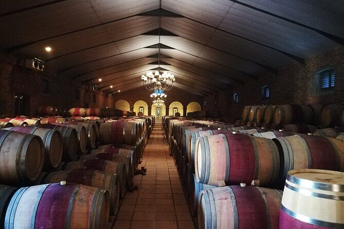Stellenbosch Vineyard Walk & Wine Tasting - Practical Tips for Your Visit