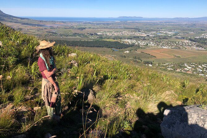 Stellenbosch Waterfall Hike - Banhoek Nature Conservancy - Additional Exploration and Wildlife Spotting