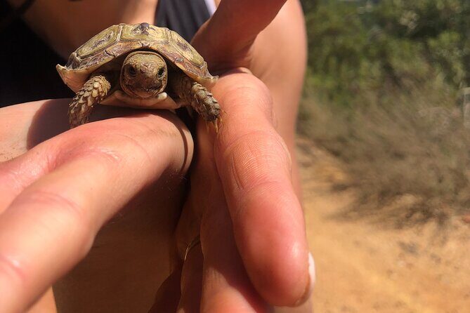 Stellenbosch Waterfall Hike - Banhoek Nature Conservancy - Returning to Stellenbosch: An Efficient Wrap-up