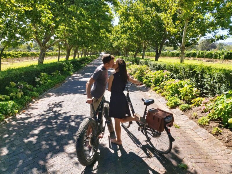 Stellenbosch: Wine Farm E-Bike Guided Tour - First Stop: The First Wine Farm