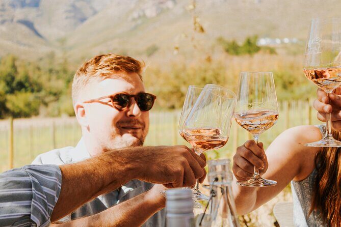 Stellenbosch Wine Tour - An In-Depth Review of the Stellenbosch Wine Tour