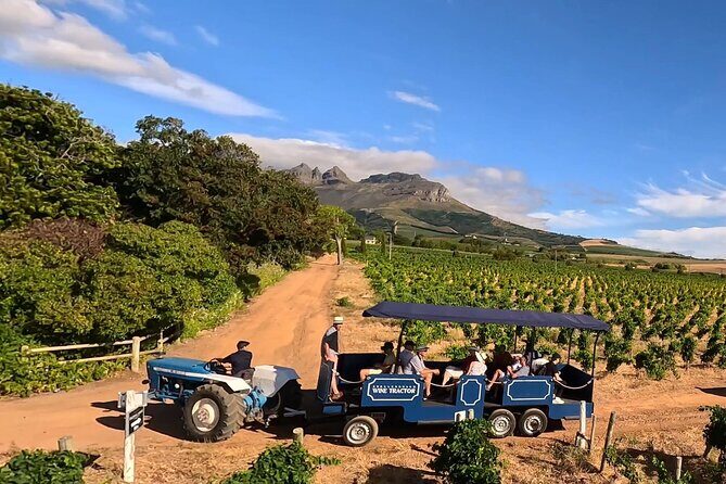 Stellenbosch Wine Tractor hop-on-hop off wine tasting tour - Exploring the Stellenbosch Wine Tractor Hop-On-Hop-Off Tour: An In-Depth Review