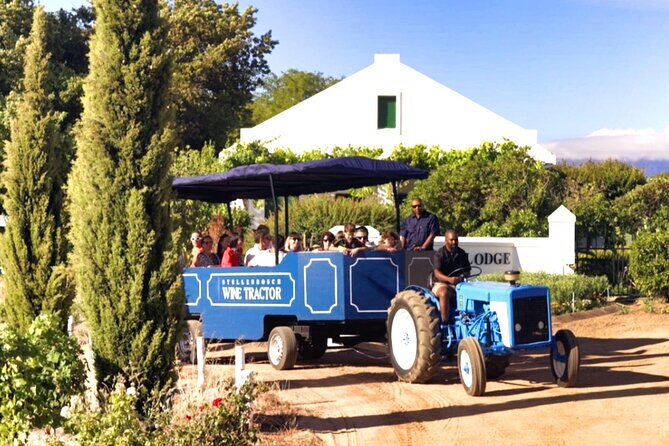 Stellenbosch Wine Tractor hop-on-hop off wine tasting tour - Why the Stellenbosch Wine Tractor Tour Stands Out