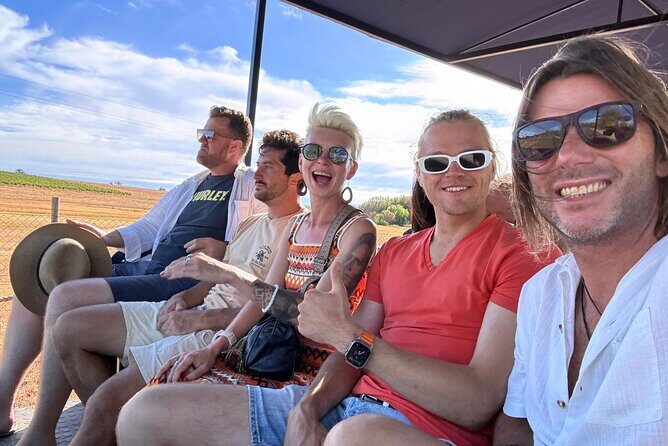 Stellenbosch Wine Tractor hop-on-hop off wine tasting tour - Price and Value: Is It Worth It?