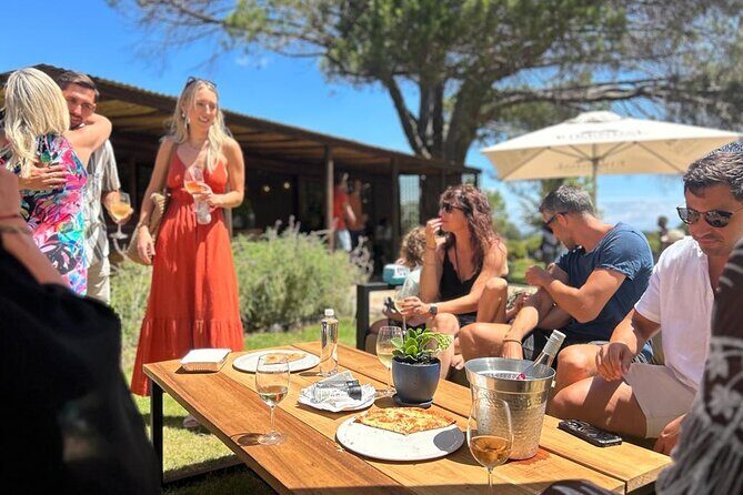 Stellenbosch Wine Tractor hop-on-hop off wine tasting tour - Who Should Consider This Tour?