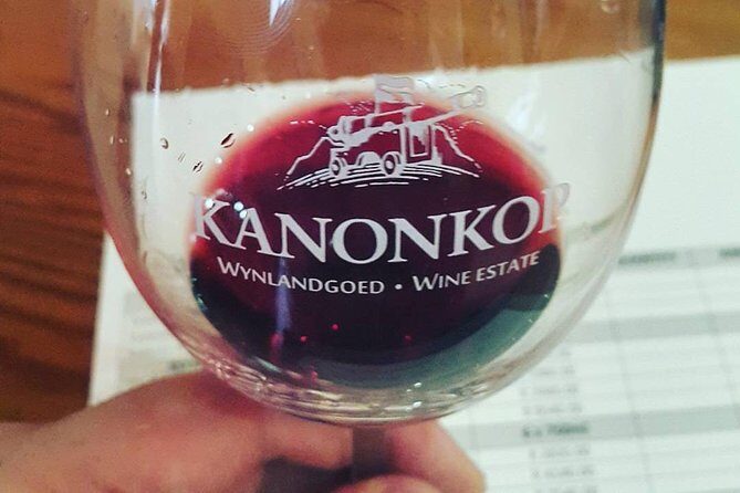 Stellenbosch Winelands Connoisseur Day Tour with Private Transfer - An In-Depth Look at the Experience
