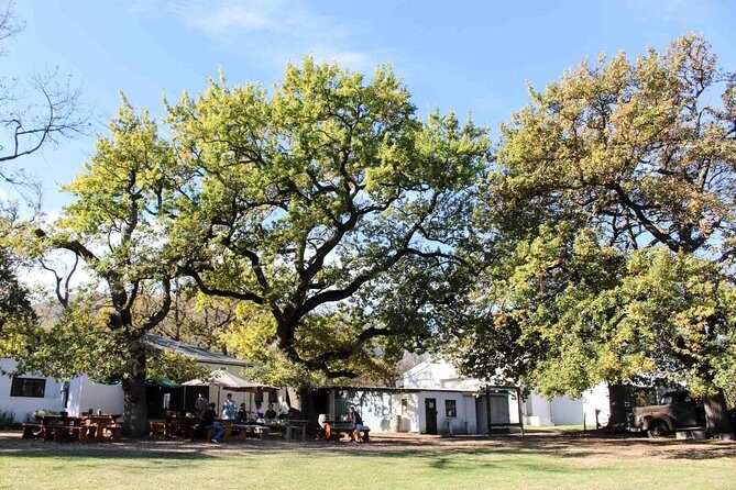 Stellenbosch Winelands Connoisseur Day Tour with Private Transfer - FAQ