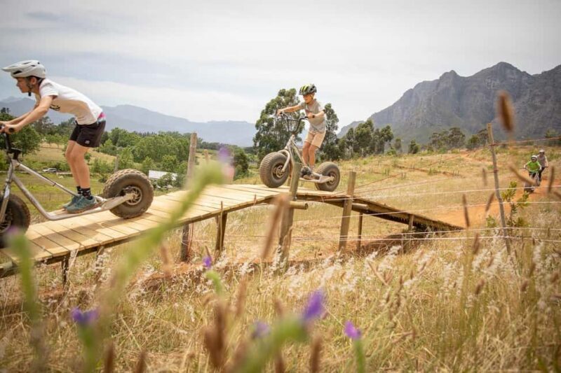 Stellenbosch Winelands downhill gravity Scooter - What is the Experience Like?