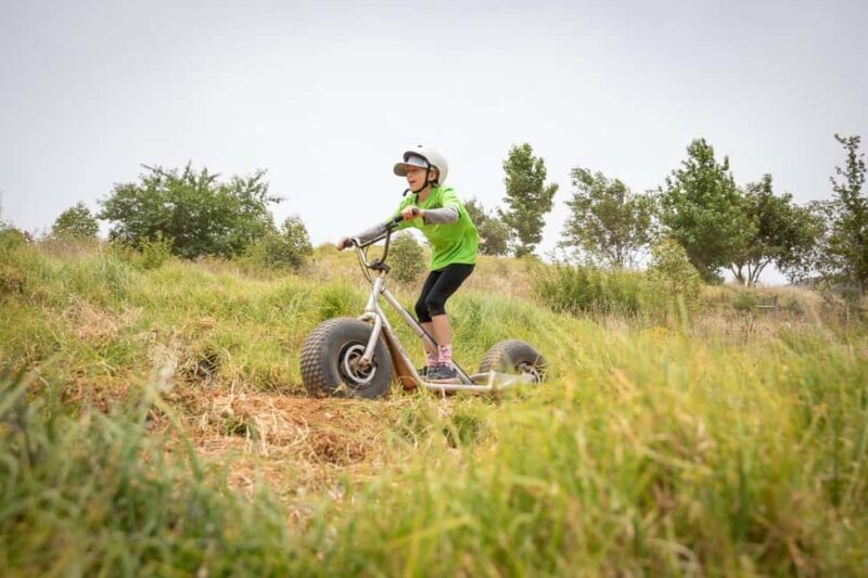 Stellenbosch Winelands downhill gravity Scooter - Who Would Love This Tour?
