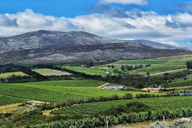 Stellenbosch Winelands Experience - Who Should Book This Tour?