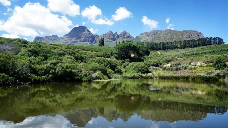 Stellenbosch: Wineries and Safari Tour with Wine Tasting - Final Thoughts