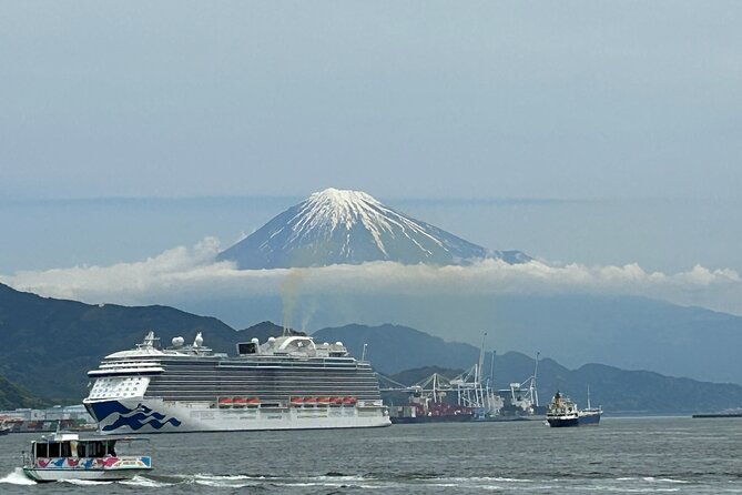 step-free-easy-going-tour-from-shimizu-port-sedan-taxi