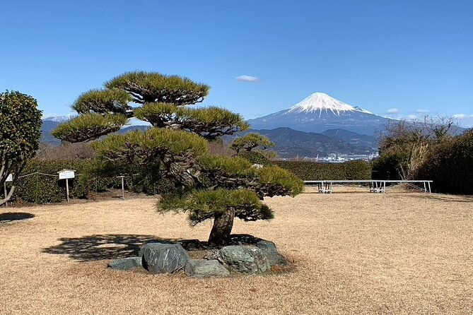 step-free-easy-going-tour-from-shimizu-port-sedan-taxi