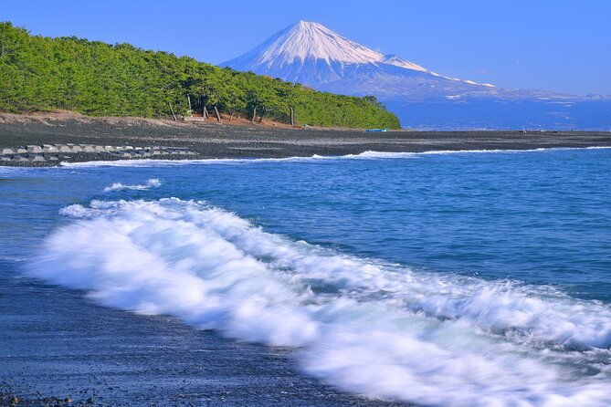 step-free-easy-going-tour-from-shimizu-port-small-bus