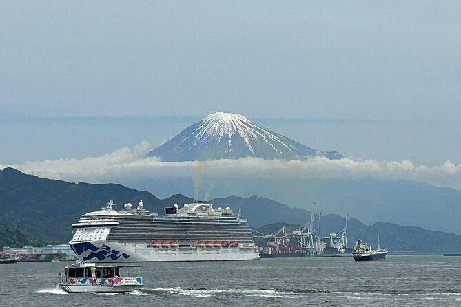 step-free-easy-going-tour-from-shimizu-port-small-bus