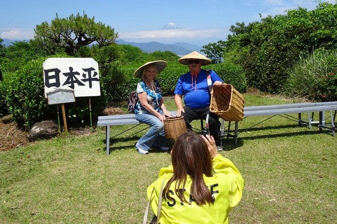 step-free-easy-going-tour-from-shimizu-port-small-bus