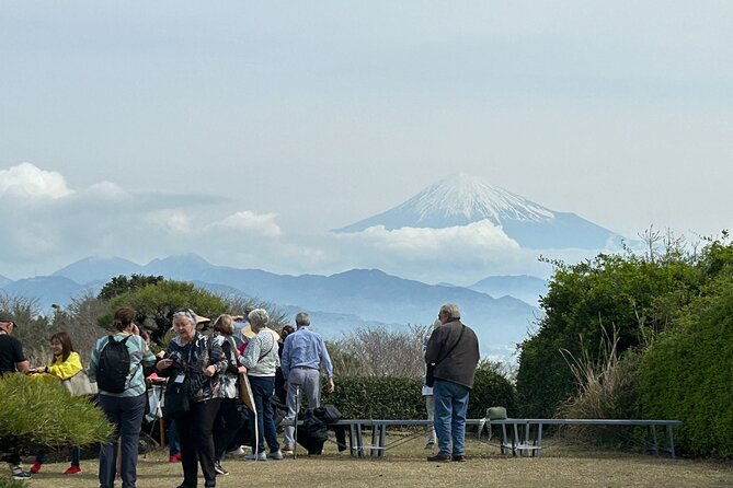 step-free-easy-going-tour-from-shimizu-port-van-taxi