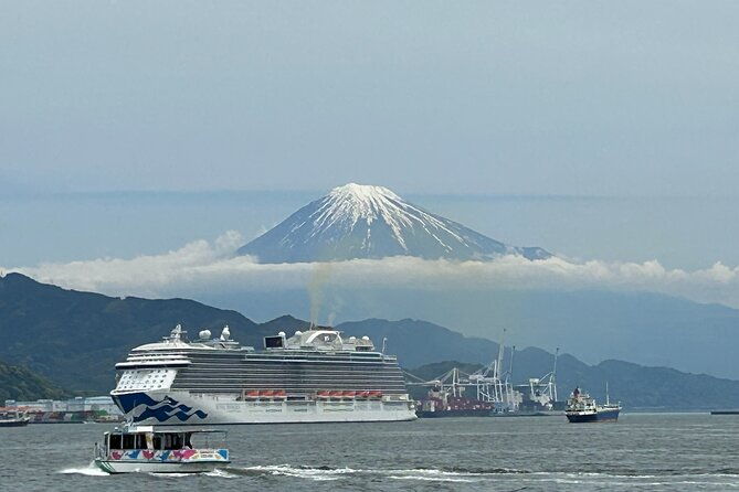 step-free-easy-going-tour-from-shimizu-port-van-taxi