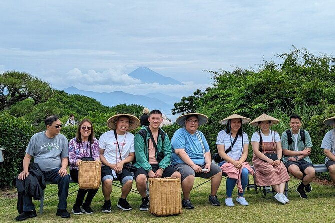 step-free-easy-going-tour-from-shimizu-port-van-taxi