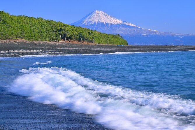 step-free-easy-going-tour-from-shimizu-port-van-taxi