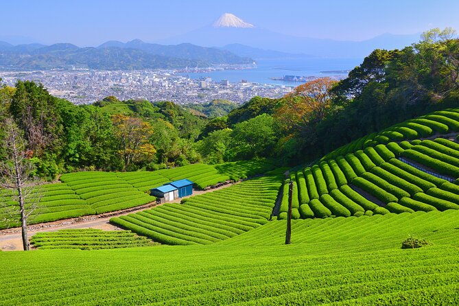 step-free-easy-going-tour-from-shimizu-port-van-taxi