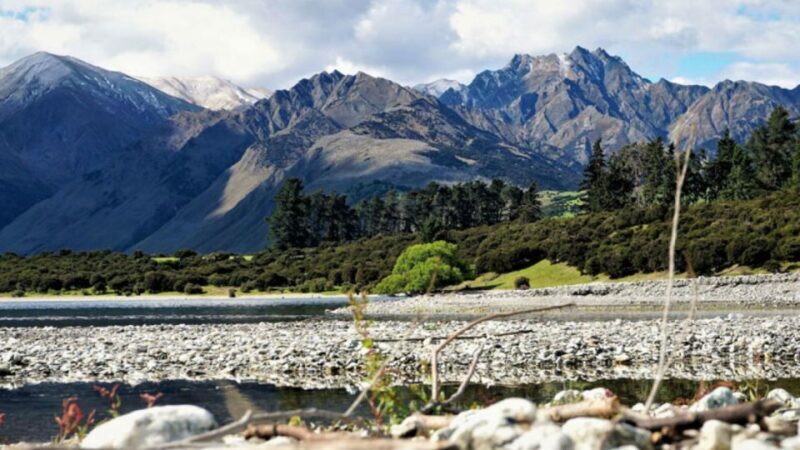Stevensons Island 2-Hour Cruise and Nature Walk - Why This Tour Works