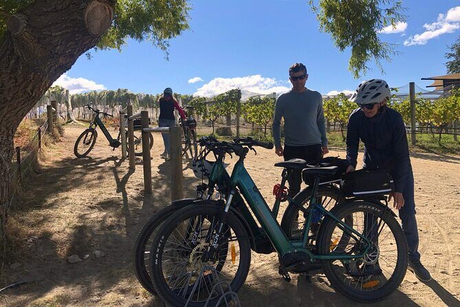 Stevensons Island Cruise and Nature Walk from Wanaka - Who Will Love This Tour?
