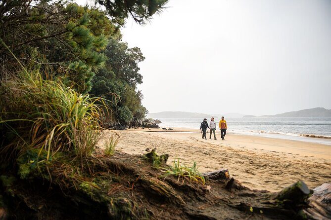 Stewart Island Guided Wilderness Walk - FAQ