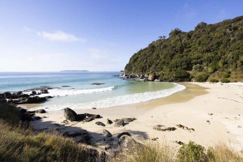 Stewart Island: Guided Wilderness Walk - What to Expect and Practical Details