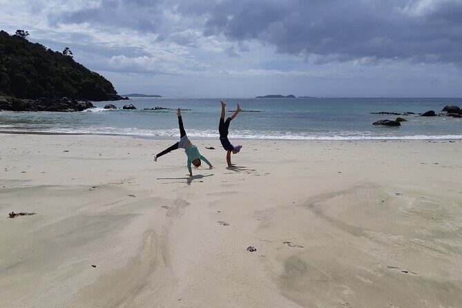 Stewart Island Transfer Flight - One way - Practical Considerations and Tips