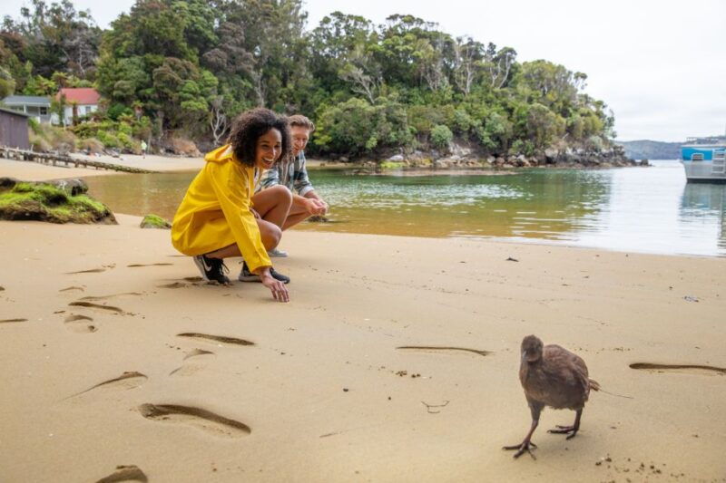 stewart-island-ulva-island-explorer