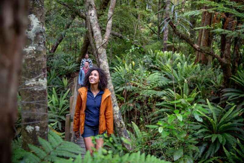stewart-island-ulva-island-explorer