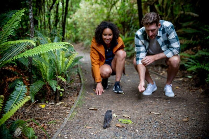 stewart-island-ulva-island-explorer