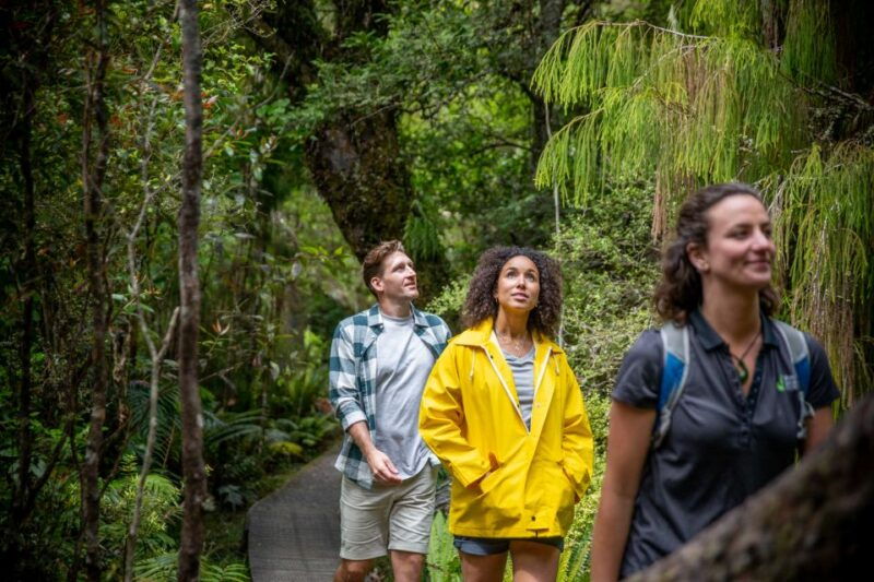 stewart-island-ulva-island-explorer