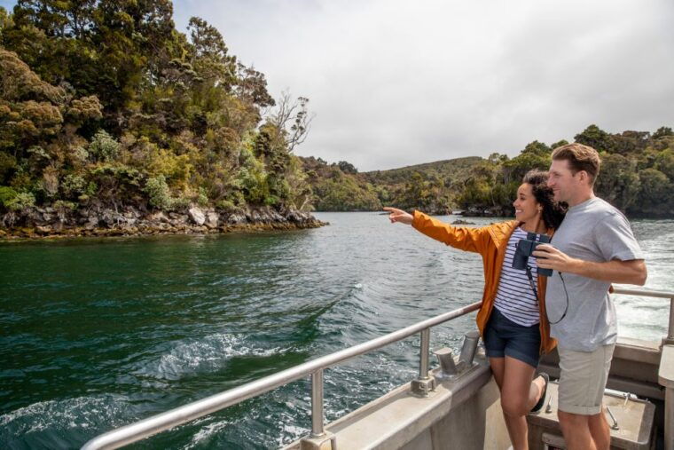 stewart-island-ulva-island-explorer