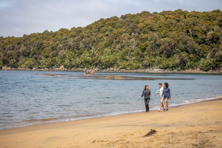 stewart-island-ulva-island-explorer