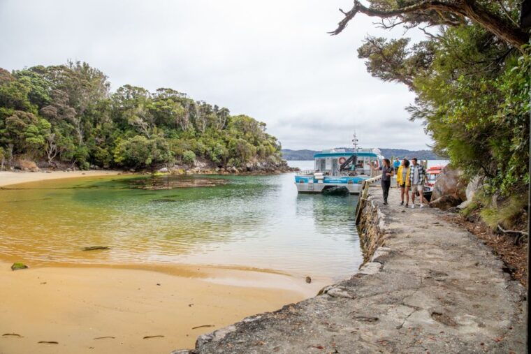stewart-island-ulva-island-explorer