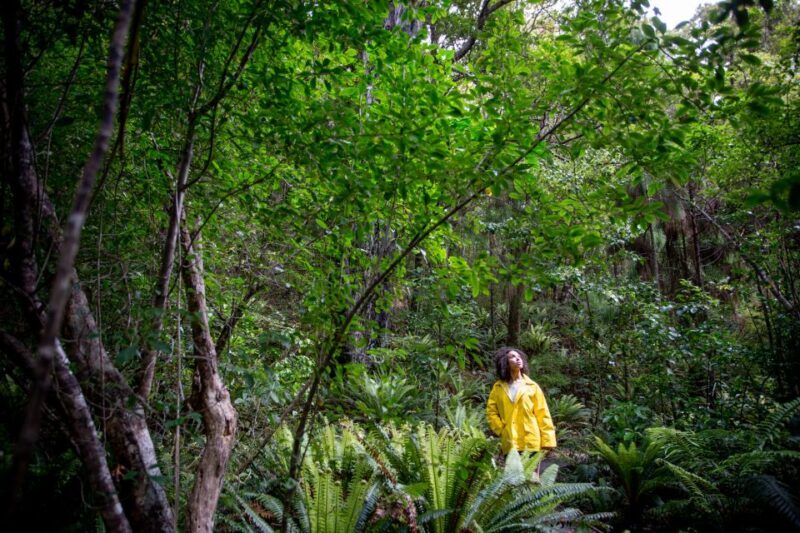 Stewart Island: Ulva Island Guided Wilderness Walk & Cruise - An Overview of the Experience