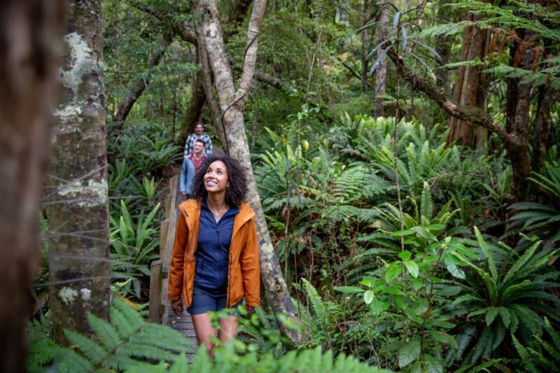 Stewart Island: Ulva Island Guided Wilderness Walk & Cruise - Practical Details and Tips