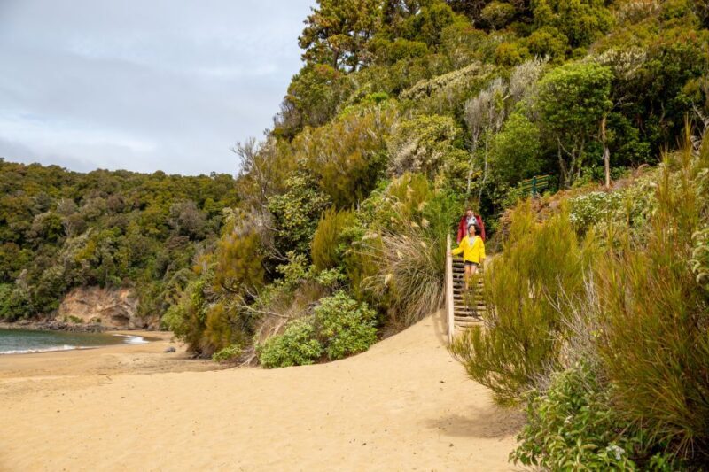 Stewart Island: Ulva Island Guided Wilderness Walk & Cruise - Authentic Experiences from Reviewers